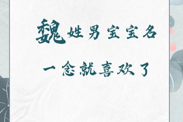 精选魏姓女孩名字，赋予宝宝美好祝愿