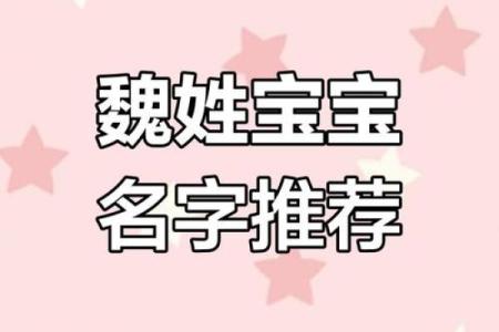 精选魏姓女孩名字，赋予宝宝美好祝愿