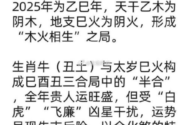 蛇牛配对的命运走向：爱情与事业的平衡
