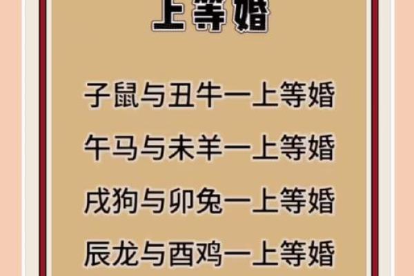 鼠与马配对的婚姻运势解析