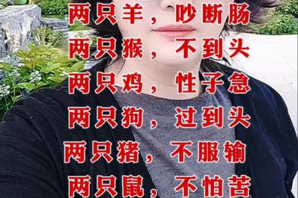狗鼠相配的优势与挑战
