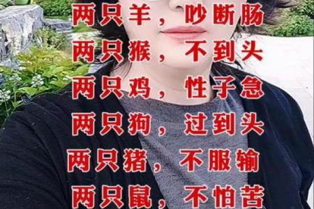 狗鼠相配的优势与挑战