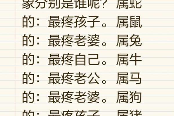 鼠与龙的配对是否理想 解析生肖相合与相克之道