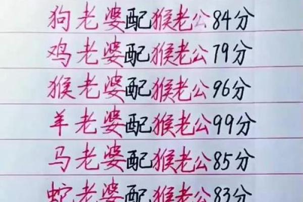 猴与鸡相配的婚姻：挑战与机会并存