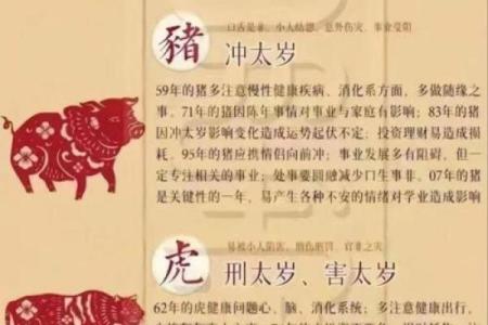 鼠与龙的配对是否理想 解析生肖相合与相克之道