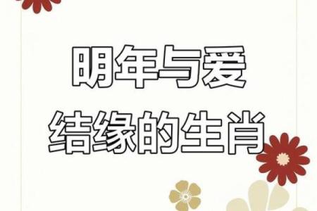 猴与鸡相配的婚姻：挑战与机会并存