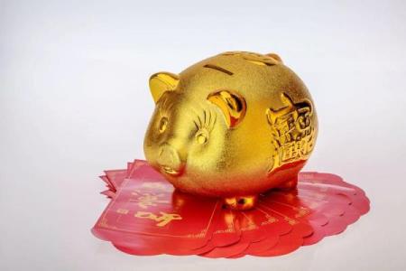 鼠和马能否成为理想搭档
