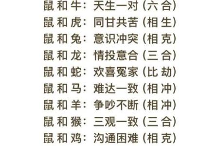 属虎与属龙的星座配对分析