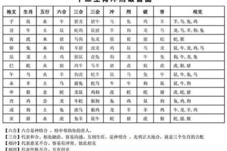 属龙女和属鸡男是否天作之合的深度解析