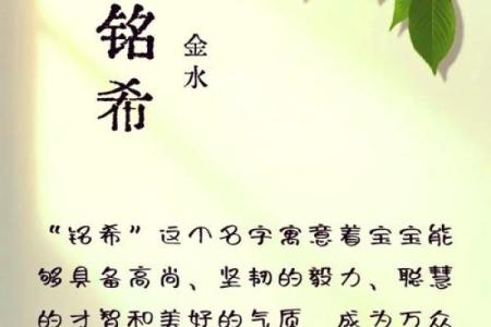 精选徐姓男孩名字推荐，助你轻松挑选心仪名字