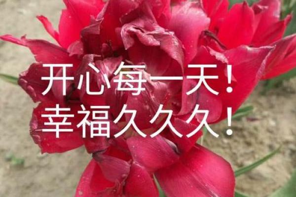 农历:这一天的记忆为何难忘 农历:这一天的记忆为何难忘