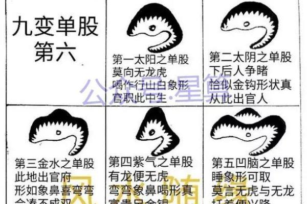 潍坊家居风水测算招聘,寻找风水专业人才 潍坊家居风水测算招聘,寻找风水专业人才