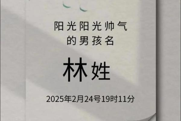 林字蕴在姓名中的含的自然象与力量征 林字蕴在姓名中的含的自然象与力量征