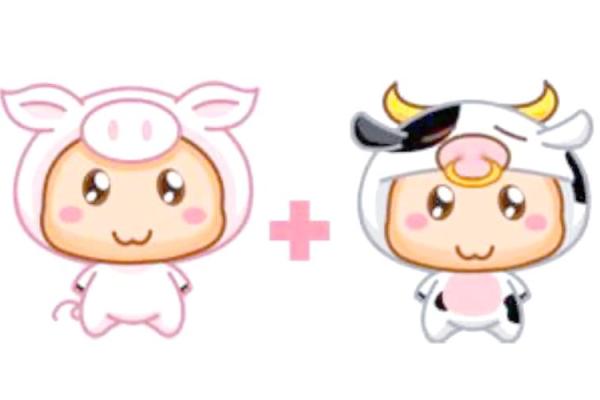 鼠女与牛男相配吗?揭开十二生肖的缘分秘密 鼠女与牛男相配吗?揭开十二生肖的缘分秘密