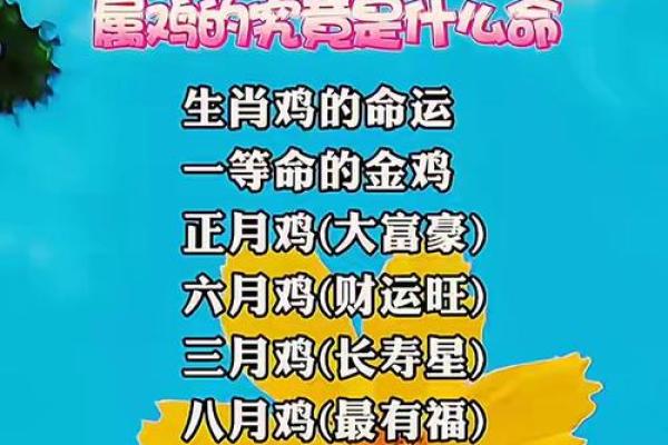 属鸡人运势预测：如何应对事业与感情的波动
