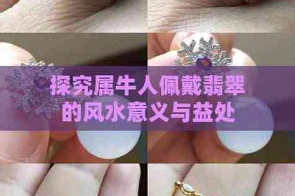 女兔与男龙是否天生合适?深入探讨他们的缘分 女兔与男龙是否天生合适?深入探讨他们的缘分