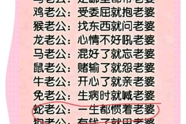 生肖与婚姻:如何通过属相选择理想伴侣 生肖与婚姻:如何通过属相选择理想伴侣