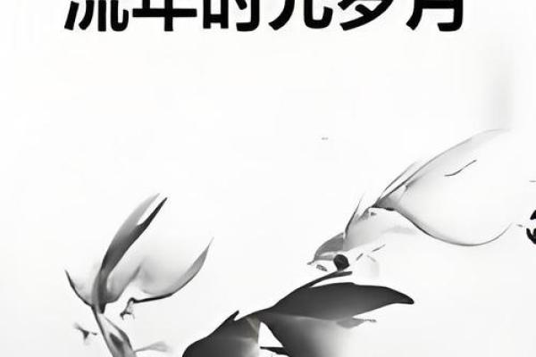 全新2019年万年历:记录岁月流转的时光伴侣 全新2019年万年历:记录岁月流转的时光伴侣