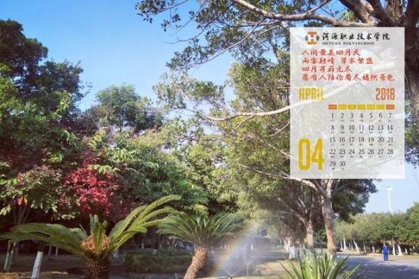 全新2019年万年历:记录岁月流转的时光伴侣 全新2019年万年历:记录岁月流转的时光伴侣