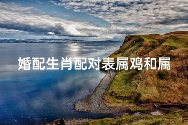 属马与属鸡的婚配解析 适合在一起吗 属马与属鸡的婚配解析 适合在一起吗