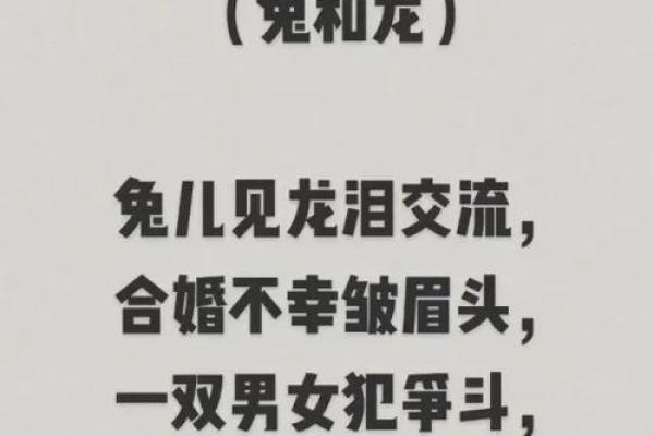 属兔与属兔的配对是否和谐解析 属兔与属兔的配对是否和谐解析