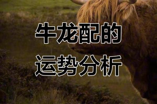 属牛男与属牛女是否天作之合 深度解析两者的婚配优势与挑战 属牛男与属牛女是否天作之合 深度解析两者的婚配优势与挑战