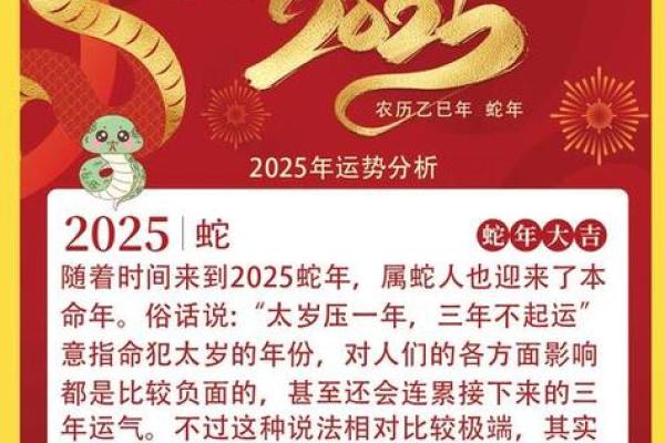 属蛇人运势详尽分析:运势波动与化解之道 属蛇人运势详尽分析:运势波动与化解之道