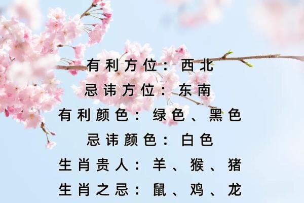 属兔出生的人生运势与幸运年份预测 属兔出生的人生运势与幸运年份预测