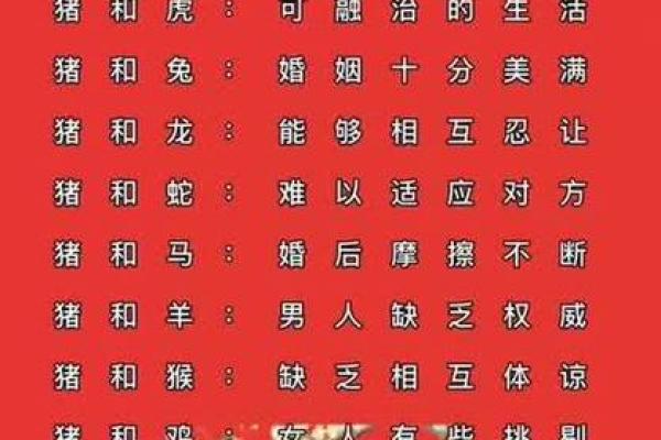 男猪女虎:不一样的婚姻模式,是否能走得更远 男猪女虎:不一样的婚姻模式,是否能走得更远