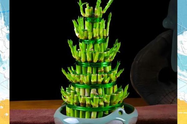 招财风水植物推荐 帮助你提升财运的绿色良伴