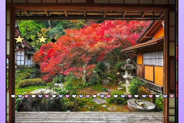 枫树在风水中的象征意义与影响解析 枫树在风水中的象征意义与影响解析