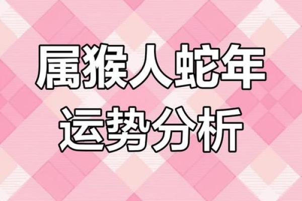 本命年猴男如何调整投资策略 本命年猴男如何调整投资策略