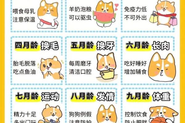 本命年属狗人如何保持家庭和谐 本命年属狗人如何保持家庭和谐