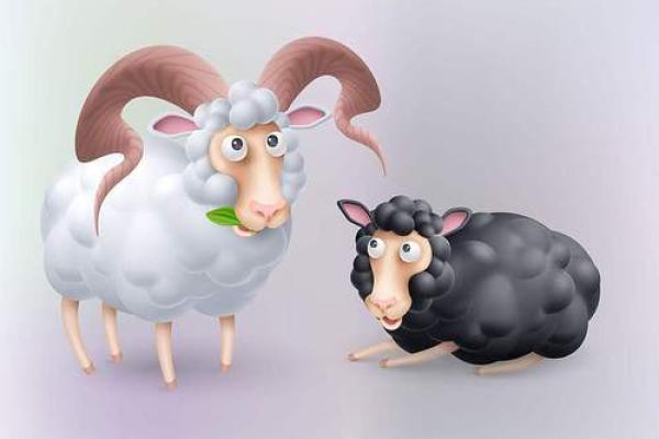 狗与羊婚姻是否幸福?性格匹配的关键因素 狗与羊婚姻是否幸福?性格匹配的关键因素