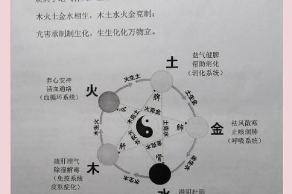 了解风水五行属性,提升运势的秘密大揭秘 了解风水五行属性,提升运势的秘密大揭秘