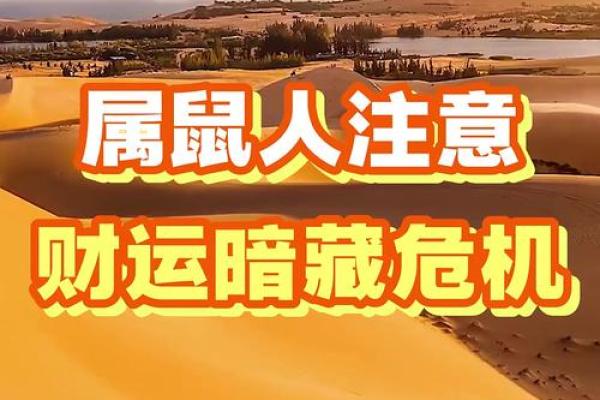 属鼠人的运势和注意事项 属鼠人的运势和注意事项
