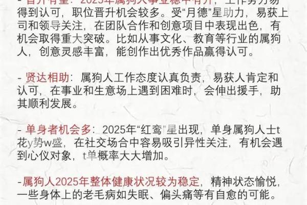 属狗本命年如何提升家庭运势 属狗本命年如何提升家庭运势
