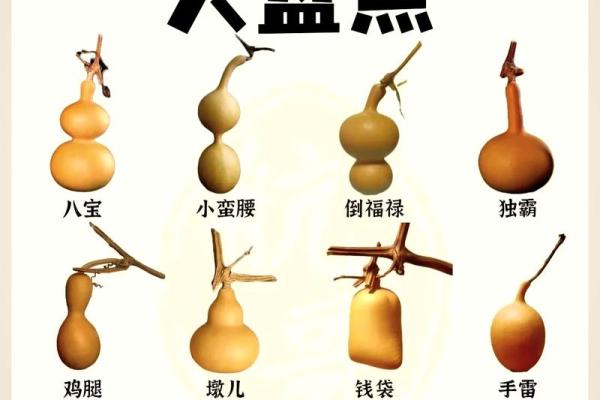 招财葫芦风水摆放位置与使用技巧