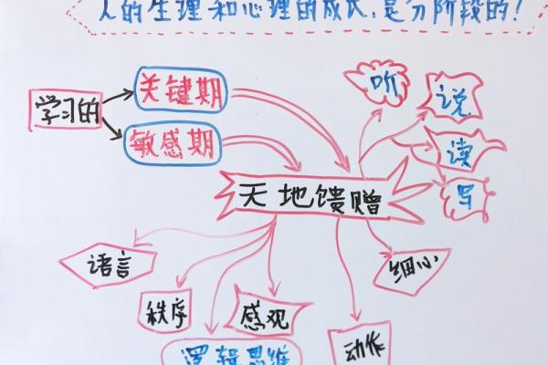 毛生辰八字解析:如何从出生时刻看人生轨迹 毛生辰八字解析:如何从出生时刻看人生轨迹