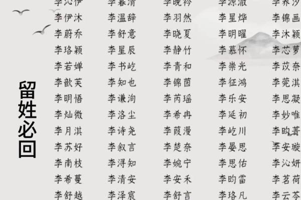 李姓取名的独特魅力与寓意解析 李姓取名的独特魅力与寓意解析