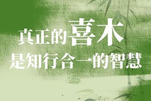 梧字五行分析:揭开其深层的五行秘密 梧字五行分析:揭开其深层的五行秘密