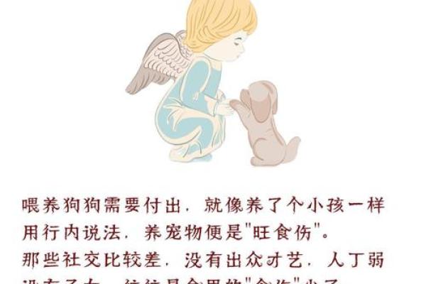 属狗人在本命年如何避免误入歧途 属狗人在本命年如何避免误入歧途