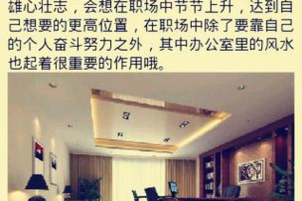 改善办公室气场的风水布局建议 改善办公室气场的风水布局建议