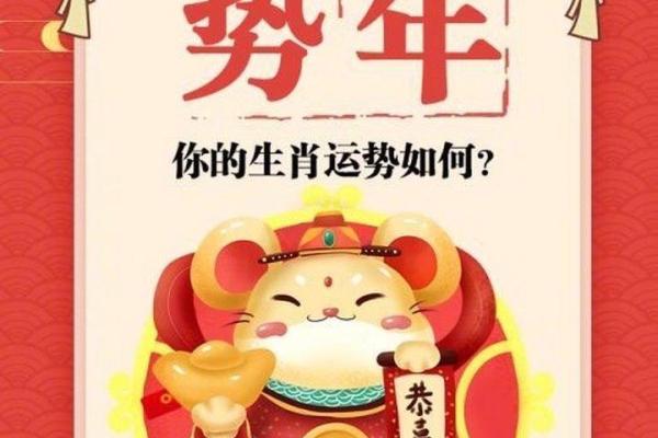 运程大起底:鼠年人际关系与情感走向 运程大起底:鼠年人际关系与情感走向