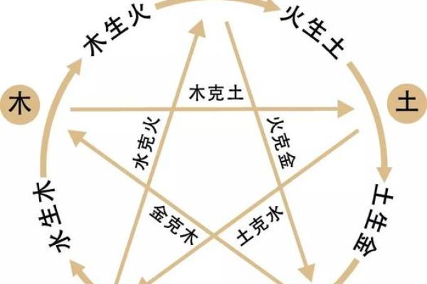 右命与命理学中的五行关系分析 右命与命理学中的五行关系分析
