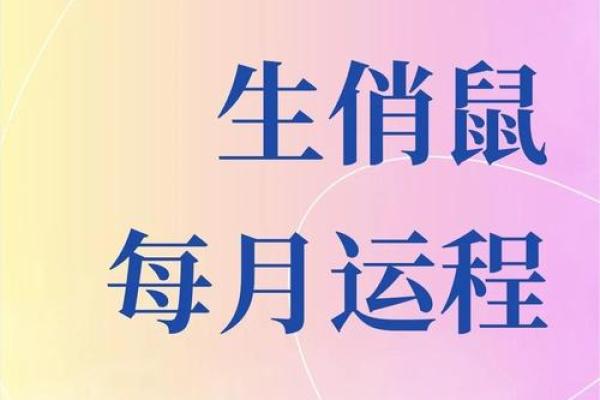如何提升鼠年运势:鼠运程中的幸运关键 如何提升鼠年运势:鼠运程中的幸运关键