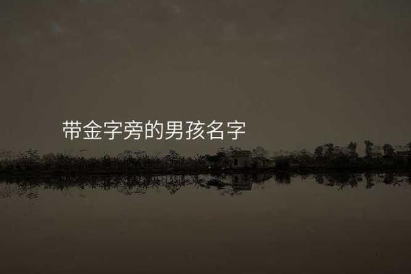 金字旁名字的历史渊源与现代运用