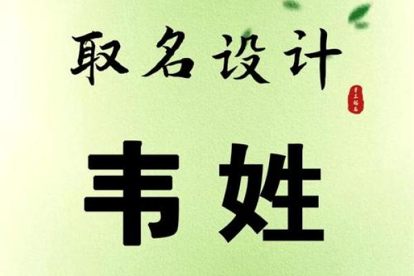 如何为林业规划设计公司起一个独特且有创意的名字