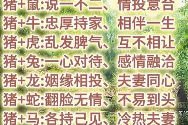 生肖与爱情:每个属相的恋爱运势如何 生肖与爱情:每个属相的恋爱运势如何