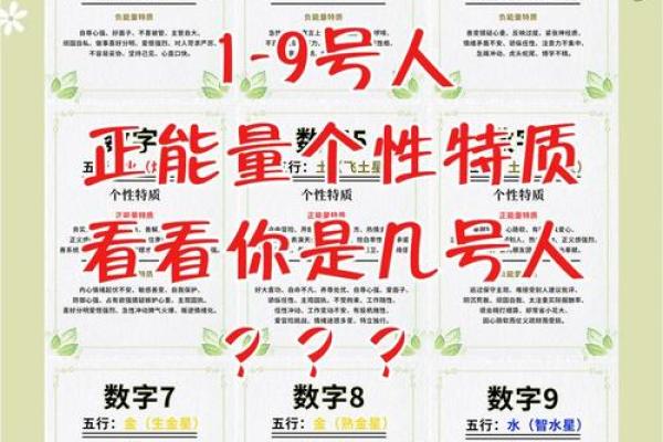 数命的含义与解读:探索命运背后的数字密码 数命的含义与解读:探索命运背后的数字密码